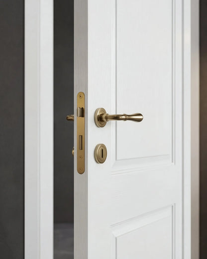 דלת פנים דגם אמנון - מודרנו עיצוב הבית -  קולקצית ATMOS™ 26 -  דלתות פנים